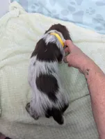 processed/01b2fa3d-2813-471a-ba42-1ecef948ba62/listing/c676b7d3-8409-44ab-b6aa-d35a75fd6e29/930a1318-d738-4585-a3f9-a2fda068ad6c