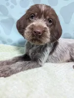 processed/01b2fa3d-2813-471a-ba42-1ecef948ba62/listing/c676b7d3-8409-44ab-b6aa-d35a75fd6e29/9bd5202d-e16e-4e2f-aa88-1a4d604db206