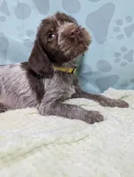 processed/01b2fa3d-2813-471a-ba42-1ecef948ba62/listing/c676b7d3-8409-44ab-b6aa-d35a75fd6e29/ff344c03-a9e3-4cb9-a430-5c8f334dc364