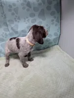 processed/01b2fa3d-2813-471a-ba42-1ecef948ba62/listing/d2f24cc7-2c8f-42fa-a681-0cbc243c30ca/1116dfc8-2023-4be8-b399-a7dc66f31792