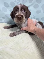 processed/01b2fa3d-2813-471a-ba42-1ecef948ba62/listing/d2f24cc7-2c8f-42fa-a681-0cbc243c30ca/4c89994b-13f7-4f31-b5cf-be2f97970d8b