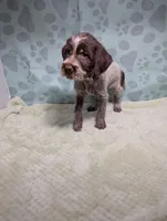 processed/01b2fa3d-2813-471a-ba42-1ecef948ba62/listing/d2f24cc7-2c8f-42fa-a681-0cbc243c30ca/57a59e33-9936-41fe-9fc0-49abe14f71a3