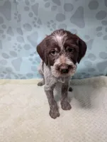 processed/01b2fa3d-2813-471a-ba42-1ecef948ba62/listing/d2f24cc7-2c8f-42fa-a681-0cbc243c30ca/596eaecc-7db4-43e0-9ae6-00f3f363f478