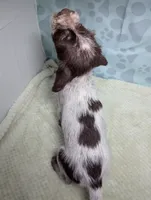 processed/01b2fa3d-2813-471a-ba42-1ecef948ba62/listing/d2f24cc7-2c8f-42fa-a681-0cbc243c30ca/7aa5c5e9-6932-4331-b202-6a115529032b