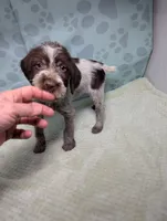 processed/01b2fa3d-2813-471a-ba42-1ecef948ba62/listing/d2f24cc7-2c8f-42fa-a681-0cbc243c30ca/f2578f7b-e751-4c53-affc-4c0fd24afb37