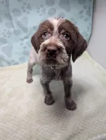 processed/01b2fa3d-2813-471a-ba42-1ecef948ba62/listing/d2f24cc7-2c8f-42fa-a681-0cbc243c30ca/fea4adff-a77c-477d-990f-36f9e6631839