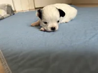 processed/01b74d0a-79f6-4d6d-bf35-b45934cb0e38/listing/1453be1d-c40a-4573-ad55-5bf174f5fe05/294fce41-3936-46a4-b981-3773e1d07abc