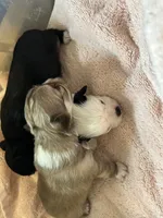 processed/01b74d0a-79f6-4d6d-bf35-b45934cb0e38/listing/1453be1d-c40a-4573-ad55-5bf174f5fe05/8f243c7e-4b3e-411f-9328-c3885ed39c26