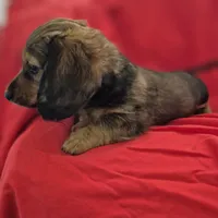 processed/01bc7d29-4ccd-4179-a803-fecd360f66fc/listing/d8ed90d1-47f6-40a0-97e8-cd488bab30d4/66837740-15ad-4aeb-89b7-62e9b16202c8