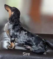 processed/01bc7d29-4ccd-4179-a803-fecd360f66fc/listing/d8ed90d1-47f6-40a0-97e8-cd488bab30d4/7260e127-2cf7-4835-bac7-3ad0ad43fc54