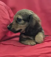 processed/01bc7d29-4ccd-4179-a803-fecd360f66fc/listing/d8ed90d1-47f6-40a0-97e8-cd488bab30d4/7e53de2c-edc5-41d9-a7f1-df17e9aa5076