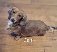 processed/01bc7d29-4ccd-4179-a803-fecd360f66fc/listing/d8ed90d1-47f6-40a0-97e8-cd488bab30d4/85e5d566-53b5-4608-898a-2b022db470dd