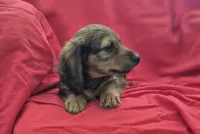 processed/01bc7d29-4ccd-4179-a803-fecd360f66fc/listing/d8ed90d1-47f6-40a0-97e8-cd488bab30d4/96c91f89-0485-4503-ab90-078a4bf001e0