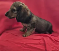 processed/01bc7d29-4ccd-4179-a803-fecd360f66fc/listing/d8ed90d1-47f6-40a0-97e8-cd488bab30d4/ad33fcb1-0f36-4bab-b0b8-bc4f423d5520