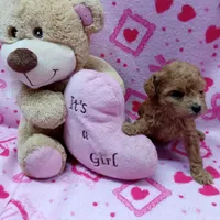 processed/01c89c68-5fdc-4c5c-9f9a-5f7de64373eb/facility/91308be4-799f-419e-b119-27fe166d7e13