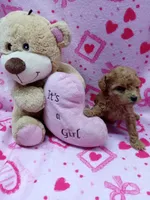 processed/01c89c68-5fdc-4c5c-9f9a-5f7de64373eb/facility/91308be4-799f-419e-b119-27fe166d7e13