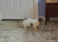 processed/01c89c68-5fdc-4c5c-9f9a-5f7de64373eb/listing/86976043-64cc-4f05-a30f-8133e8ed18aa/60709517-4a91-4798-a51a-f00e8a976e93