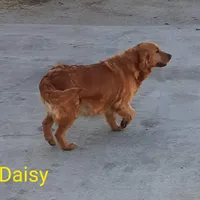 processed/01d6e368-9068-41bc-93c1-77c1c311434d/facility/4bb093bd-47c9-4929-aca9-fbc370d6c21e