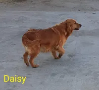 processed/01d6e368-9068-41bc-93c1-77c1c311434d/facility/4bb093bd-47c9-4929-aca9-fbc370d6c21e