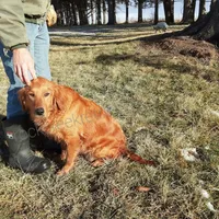 processed/01d6e368-9068-41bc-93c1-77c1c311434d/facility/606f0f91-a75a-47f0-95b3-99c50910a77d