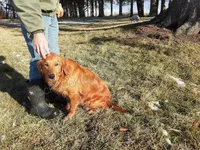 processed/01d6e368-9068-41bc-93c1-77c1c311434d/facility/606f0f91-a75a-47f0-95b3-99c50910a77d