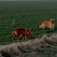 processed/01d6e368-9068-41bc-93c1-77c1c311434d/facility/6f198e4c-256d-4395-b526-2158536603b6