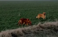 processed/01d6e368-9068-41bc-93c1-77c1c311434d/facility/6f198e4c-256d-4395-b526-2158536603b6