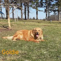 processed/01d6e368-9068-41bc-93c1-77c1c311434d/facility/71a67919-8ed6-4cd1-92a1-c611097ba7fb