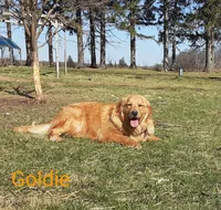 processed/01d6e368-9068-41bc-93c1-77c1c311434d/facility/71a67919-8ed6-4cd1-92a1-c611097ba7fb