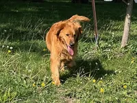 processed/01d6e368-9068-41bc-93c1-77c1c311434d/listing/4ae965a7-2cdc-4cca-84ef-9a1cd7babed3/1129ed50-5870-4639-a28c-5a8c1e227d0e