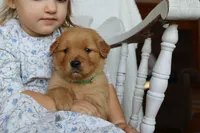 processed/01d6e368-9068-41bc-93c1-77c1c311434d/listing/4ae965a7-2cdc-4cca-84ef-9a1cd7babed3/8e4f9134-f037-4e51-a16a-7da926829d79