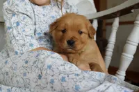 processed/01d6e368-9068-41bc-93c1-77c1c311434d/listing/4ae965a7-2cdc-4cca-84ef-9a1cd7babed3/a7055a72-9617-49e4-86f0-6817b26cb7d9