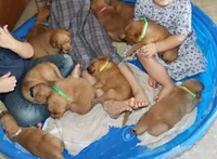 processed/01d6e368-9068-41bc-93c1-77c1c311434d/listing/e08f38be-5b30-401b-b2a2-e5efb4d28400/4ecfcbb6-b8b4-4667-9b7e-ff574e4e1509