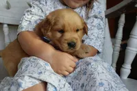 processed/01d6e368-9068-41bc-93c1-77c1c311434d/listing/e08f38be-5b30-401b-b2a2-e5efb4d28400/59c52e79-5ed8-47be-bb2a-eb459e556b4f