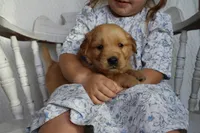 processed/01d6e368-9068-41bc-93c1-77c1c311434d/listing/e08f38be-5b30-401b-b2a2-e5efb4d28400/f4138e8b-6d9e-4811-a744-e766513aa37f