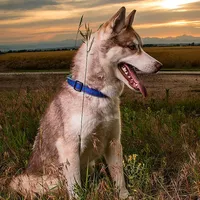 processed/01d76845-300e-4570-b3a7-6ee2fe9f80ad/facility/1f6e54a5-46a2-48b3-b784-8e2a217b5817