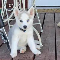 processed/01d76845-300e-4570-b3a7-6ee2fe9f80ad/facility/81f739b0-dbea-49fc-8f75-bbd54d0f560c