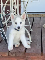 processed/01d76845-300e-4570-b3a7-6ee2fe9f80ad/facility/81f739b0-dbea-49fc-8f75-bbd54d0f560c