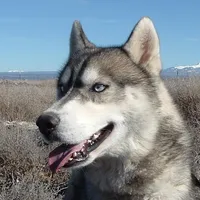 processed/01d76845-300e-4570-b3a7-6ee2fe9f80ad/facility/ae2d69d0-f181-44bc-b963-a06182b6a25b