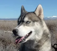 processed/01d76845-300e-4570-b3a7-6ee2fe9f80ad/facility/ae2d69d0-f181-44bc-b963-a06182b6a25b