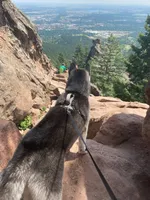 processed/01d76845-300e-4570-b3a7-6ee2fe9f80ad/facility/e3321e47-5851-41d1-97e8-9a3ef1088bc5