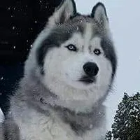 processed/01d76845-300e-4570-b3a7-6ee2fe9f80ad/facility/f243c293-fd9a-4649-a015-4255698a5434