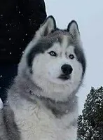 processed/01d76845-300e-4570-b3a7-6ee2fe9f80ad/facility/f243c293-fd9a-4649-a015-4255698a5434