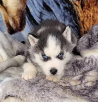 processed/01d76845-300e-4570-b3a7-6ee2fe9f80ad/listing/caa65da5-7530-4f04-85a3-f24de80556d1/840b5159-839f-49bc-8777-e036019550b7