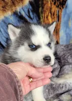 processed/01d76845-300e-4570-b3a7-6ee2fe9f80ad/listing/caa65da5-7530-4f04-85a3-f24de80556d1/adff3550-a288-4b3e-b537-fa0963ba386c