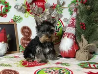 processed/01d99762-34f9-4395-b0cd-bd4bf0c30550/listing/9516ed1e-ccde-41a2-8a3e-a57133713325/602da04e-0814-43e1-a203-eeb1782e6376