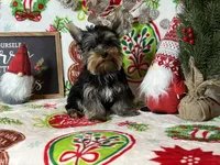 processed/01d99762-34f9-4395-b0cd-bd4bf0c30550/listing/9516ed1e-ccde-41a2-8a3e-a57133713325/7a80ce46-1ae3-44a7-846a-90e85b7dc347