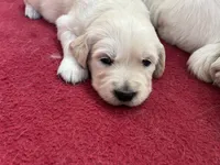 processed/01dcd14d-1db8-4369-84c3-ad6f3fd51cb0/listing/726cfe06-4b9d-4057-a024-c12ec36bd5cc/61a2eedb-4f3b-449a-86ac-d5ebbe0f1795