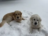 processed/01dcd14d-1db8-4369-84c3-ad6f3fd51cb0/listing/726cfe06-4b9d-4057-a024-c12ec36bd5cc/8e1a85a5-a02e-44bb-bd0d-11864049ce62