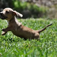 processed/01f32c50-dcad-4864-af48-bf0cf7fcdfe4/facility/12022fb4-758a-4fde-a77a-c6f2ee6f3434